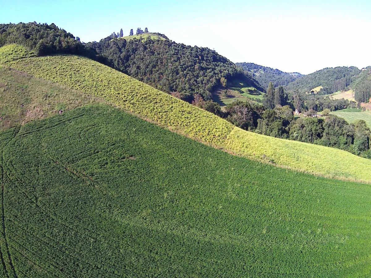 Imagem de ÁREA RURAL A VENDA EM CORONEL VIVIDA - PR
