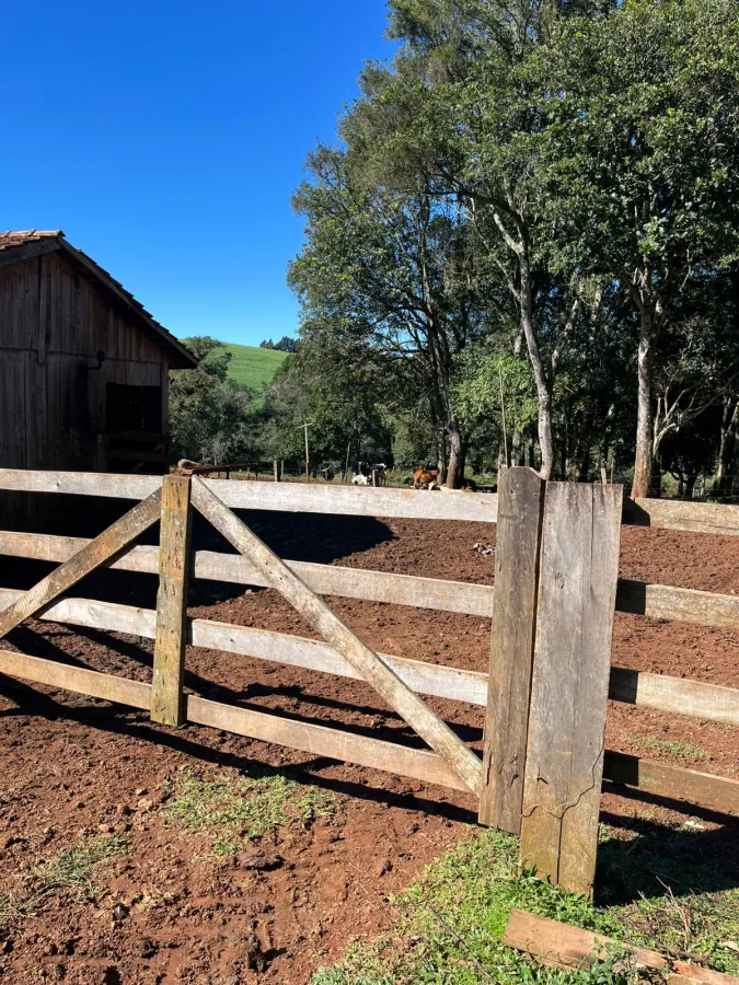 Imagem de CHÁCARA À VENDA EM MANGUEIRINHA - PR