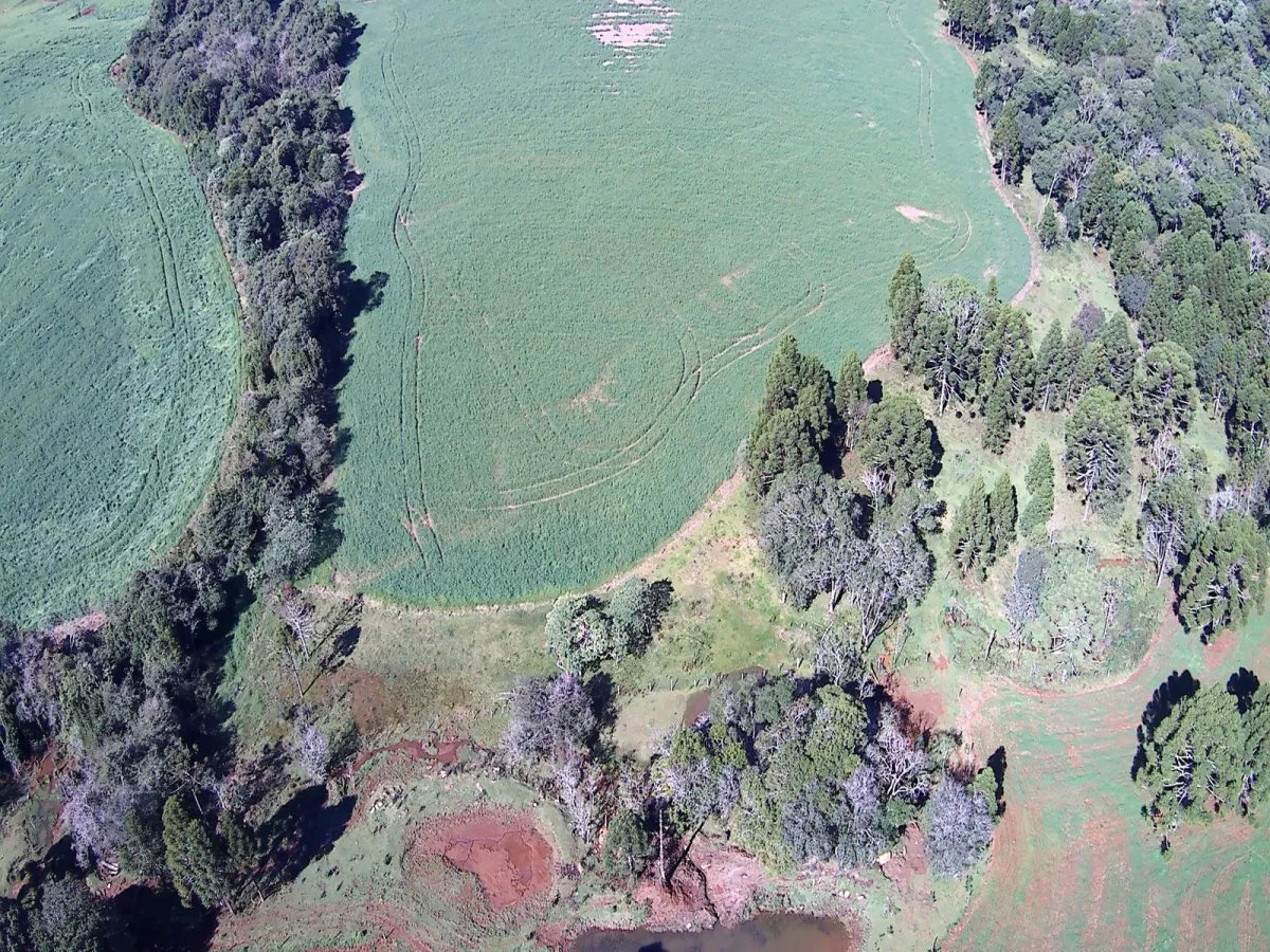 Imagem de CHÁCARA À VENDA EM MANGUEIRINHA - PR