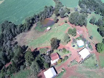 Imagem de CHÁCARA À VENDA EM MANGUEIRINHA - PR