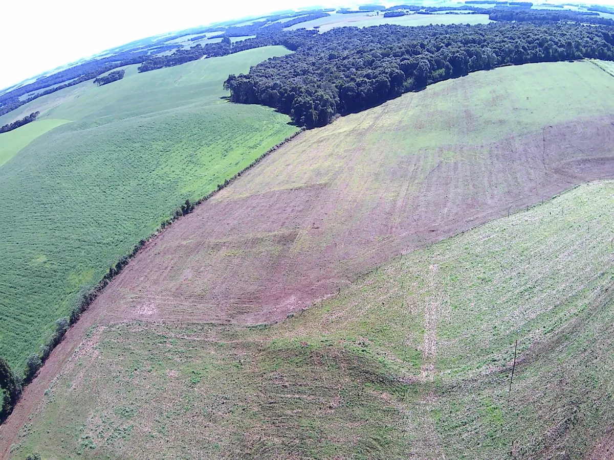 Imagem de CHÁCARA À VENDA EM MANGUEIRINHA - PR