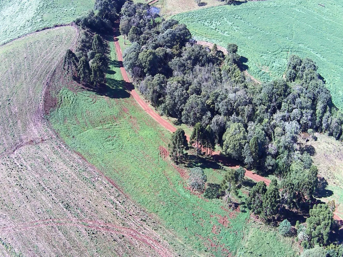 Imagem de CHÁCARA À VENDA EM MANGUEIRINHA - PR