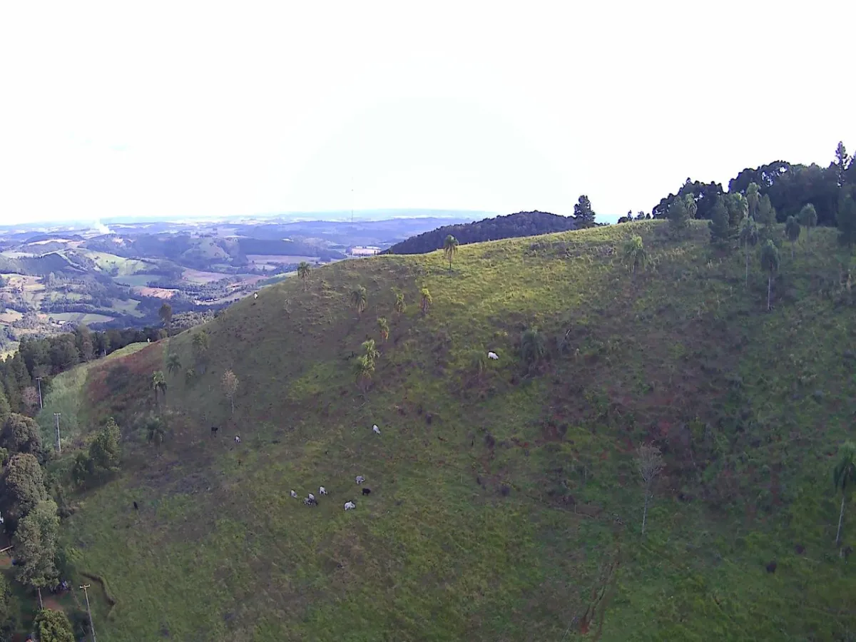 Imagem de CHÁCARA Á VENDA EM LARANJEIRAS DO SUL - PR