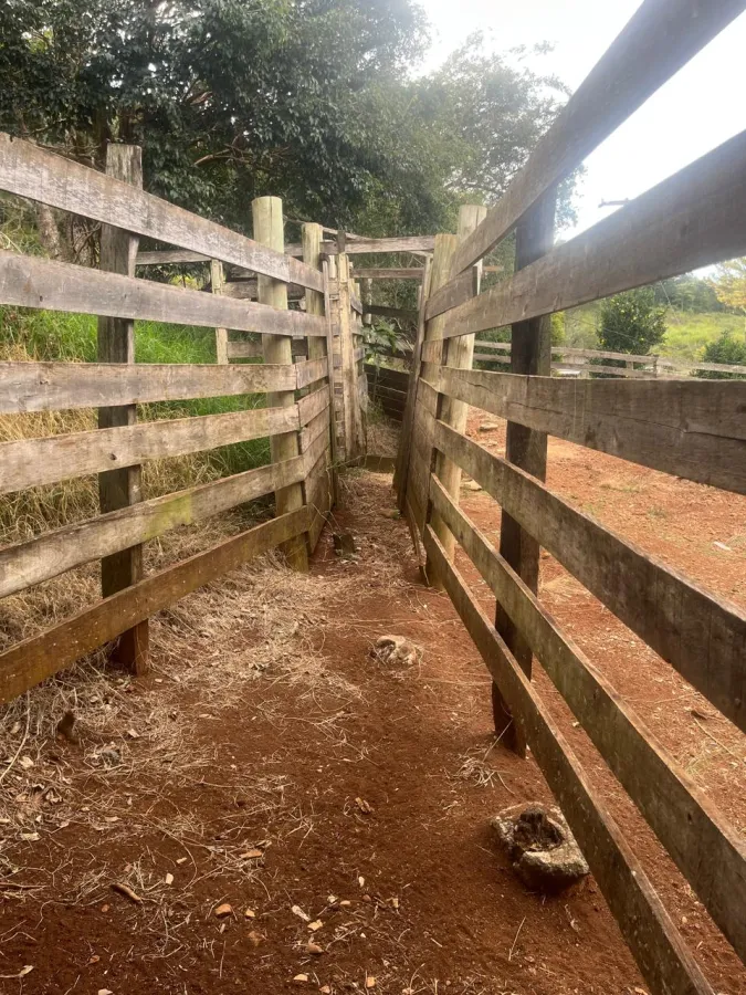 Imagem de CHÁCARA Á VENDA EM LARANJEIRAS DO SUL - PR