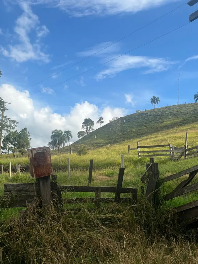 Imagem de CHÁCARA Á VENDA EM LARANJEIRAS DO SUL - PR
