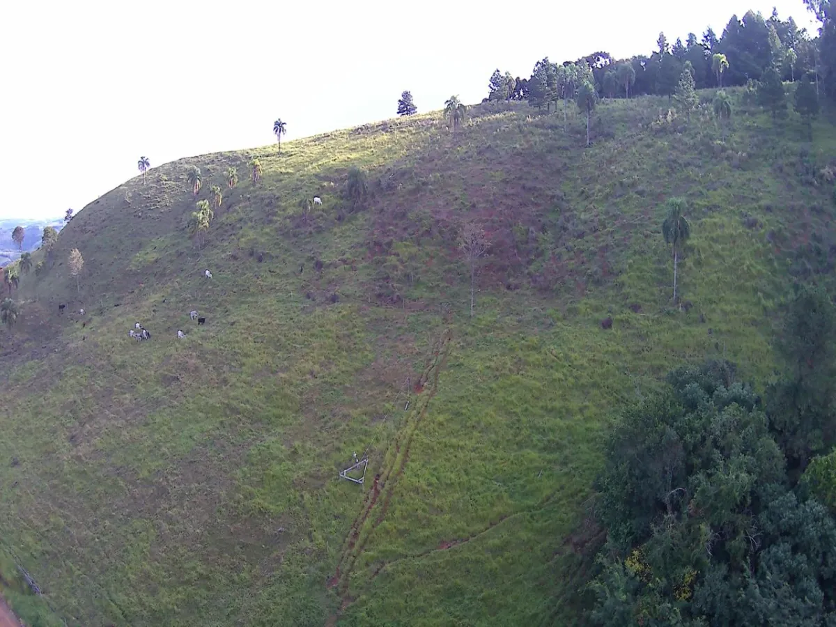 Imagem de CHÁCARA Á VENDA EM LARANJEIRAS DO SUL - PR