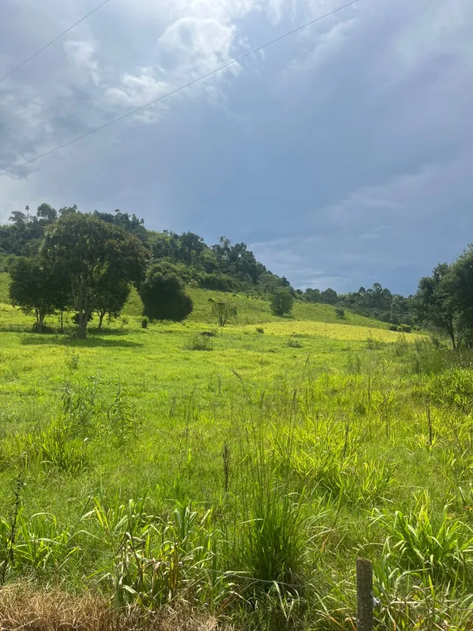 Imagem de CHÁCARA À VENDA EM RIO BONITO DO IGUAÇU - PR!