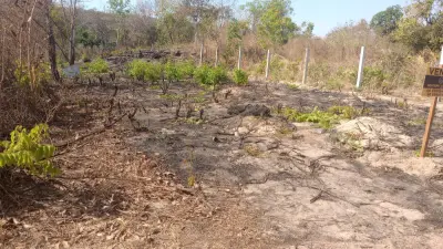 Imagem de Terreno a venda - Rodovia do peixe
