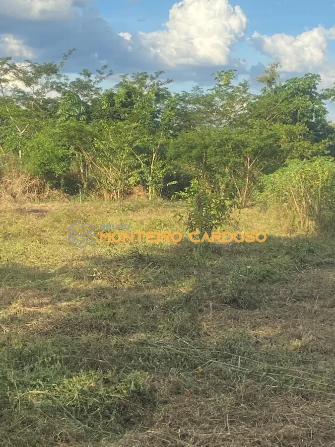 Imagem de 4 chácaras a venda - Juscimeira