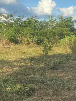 Imagem de 4 chácaras a venda - Juscimeira