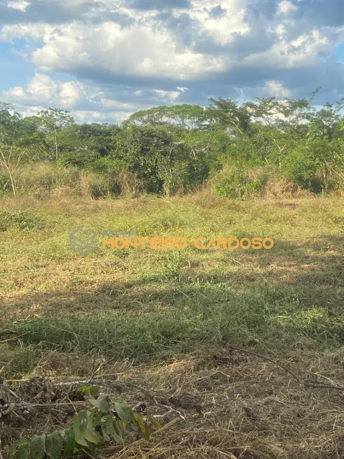 Imagem de 4 chácaras a venda - Juscimeira