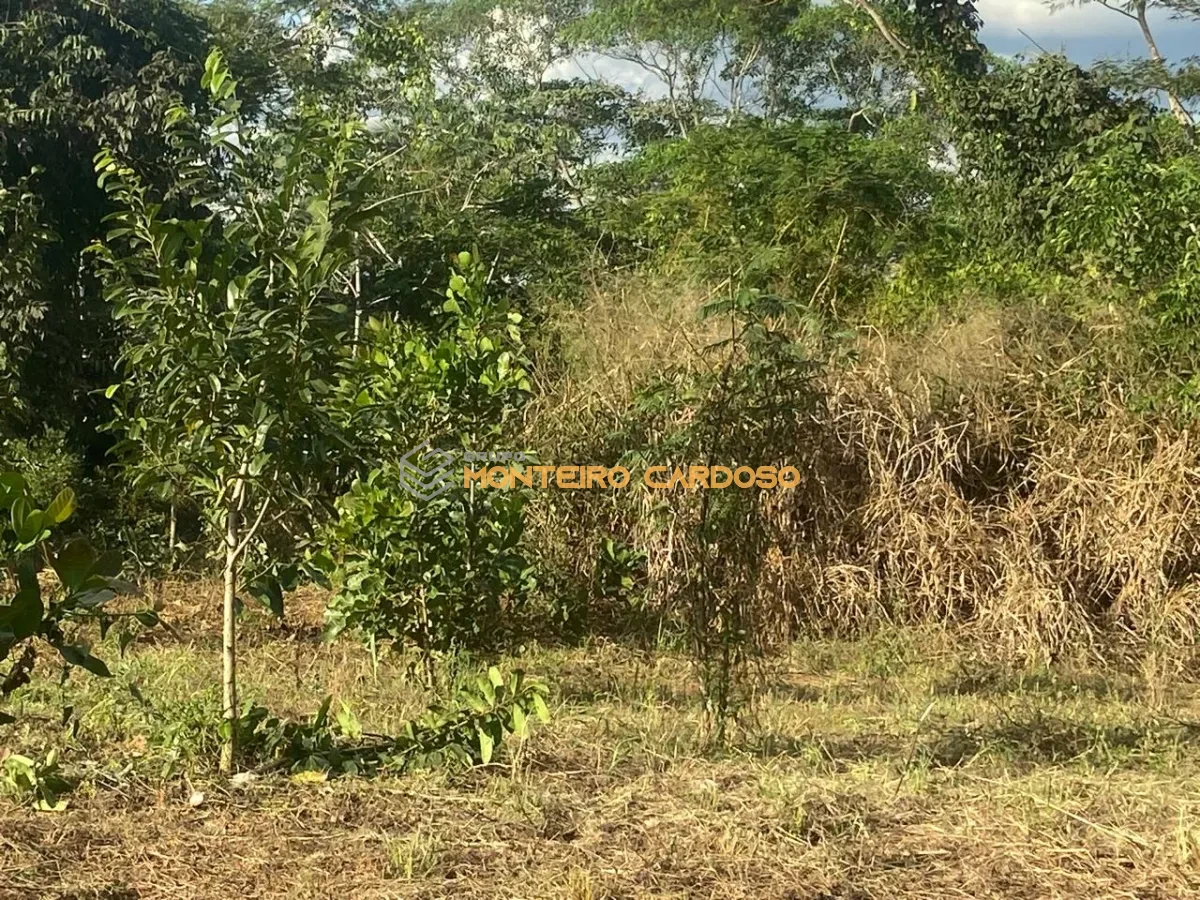 Imagem de 4 chácaras a venda - Juscimeira