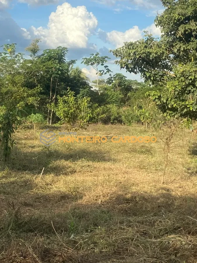 Imagem de 4 chácaras a venda - Juscimeira